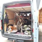 Ersteller:in Michael Profilbild