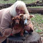 Ersteller:in Gabriele Profilbild