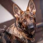 Ersteller:in Marlen Profilbild