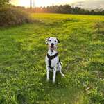 Ersteller:in Mark Profilbild