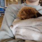 Ersteller:in Joanna Profilbild