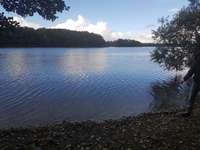 Hundeauslaufgebiet-Rundgang Bordesholmer See-Bild