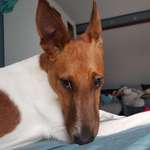 Ersteller:in Leonie Profilbild