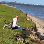 Ersteller:in Ines Profilbild