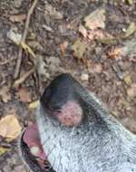 Was kann das sein?-Beitrag-Bild