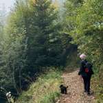 Ersteller:in Angela Profilbild