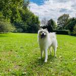 Ersteller:in Yinlai Profilbild