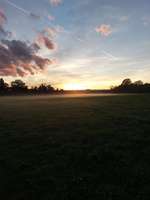 Hundeauslaufgebiet-Flutrinne-Bild