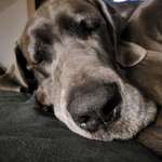 Ersteller:in Bernd Profilbild