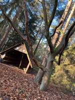 Hundeauslaufgebiet-Muna-Bild