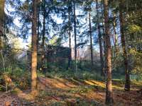 Hundeauslaufgebiet-Muna-Bild