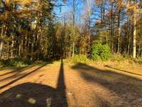 Hundeauslaufgebiet-Muna-Bild