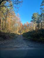 Hundeauslaufgebiet-Muna-Bild