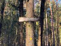 Hundeauslaufgebiet-Muna-Bild