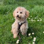 Ersteller:in Sandra Profilbild