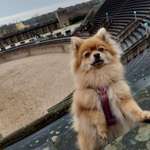 Ersteller:in Yesim Profilbild