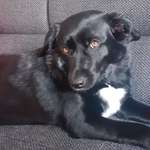 Ersteller:in Diana Profilbild