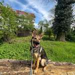 Ersteller:in Julian Profilbild