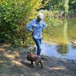 Ersteller:in Silke Profilbild