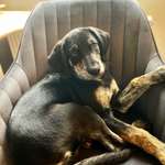 Ersteller:in Jessika Profilbild