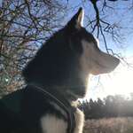 Ersteller:in Andrea Profilbild