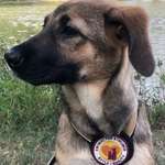 Ersteller:in Vanessa Profilbild