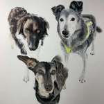 Ersteller:in Lana Profilbild