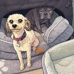 Ersteller:in Maris Profilbild