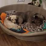 Ersteller:in Maris Profilbild