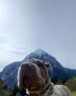 Fotochallenge Nr 107-Beitrag-Bild