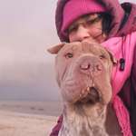 Ersteller:in Michi Profilbild