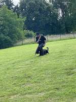 Hundeauslaufgebiet-Hundewiese Herford-Bild