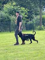 Hundeauslaufgebiet-Hundewiese Herford-Bild