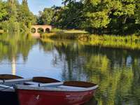 Hundeauslaufgebiet-Schönbusch-Bild