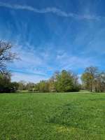 Hundeauslaufgebiet-Schönbusch-Bild