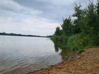 Hundeauslaufgebiet-Hundestrand am Silbersee Niedernberg-Bild