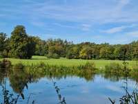 Hundeauslaufgebiet-Schönbusch-Bild