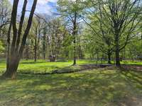 Hundeauslaufgebiet-Schönbusch-Bild