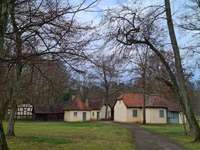 Hundeauslaufgebiet-Schönbusch-Bild