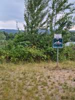 Hundeauslaufgebiet-Hundestrand am Silbersee Niedernberg-Bild