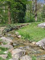 Hundeauslaufgebiet-Schönbusch-Bild