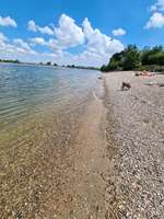 Hundeauslaufgebiet-Hundestrand Oppenheim-Bild