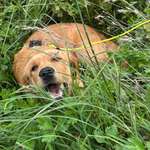 Ersteller:in Ingrid Profilbild