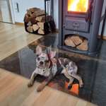 Ersteller:in Sepp Profilbild