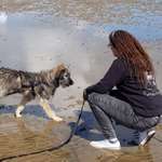 Ersteller:in Anna Profilbild