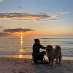 Ersteller:in Annika Profilbild