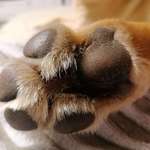 Ersteller:in Nina Profilbild