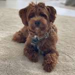 Ersteller:in Kira Profilbild