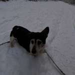 Ersteller:in Andre Profilbild