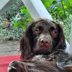 Suchmeldung-Bexter-Bild